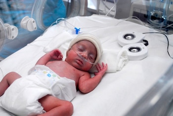 El equipo de investigación incluyó