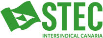 STEC-IC Logo
