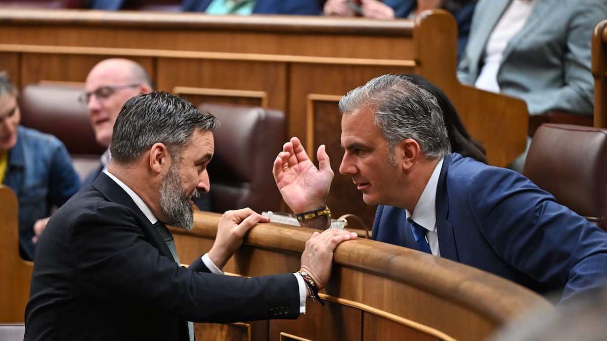 Vox aparta a Ortega Smith de la Ejecutiva Nacional del partido | Política