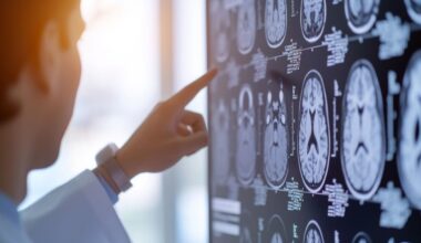 Moléculas, redes y comportamiento: así es el primer mapa biológico del cerebro