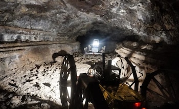 Investigadores probaron tres robots cooperativos