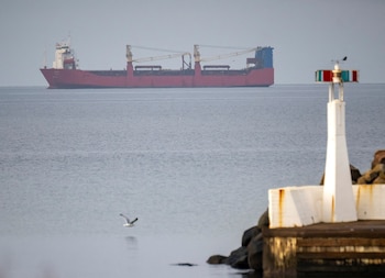 El carguero ruso Adler fondeado