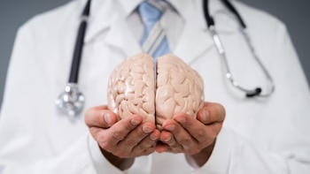 Científicos australianos identifican 150 potenciadores