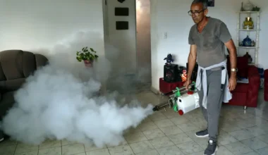 Cuba prevé tener bajo control la epidemia de chikunguña y dengue para principios de 2026