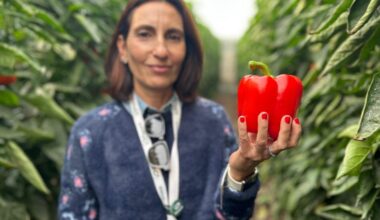 PANORA Eva María Jerez pimiento 313