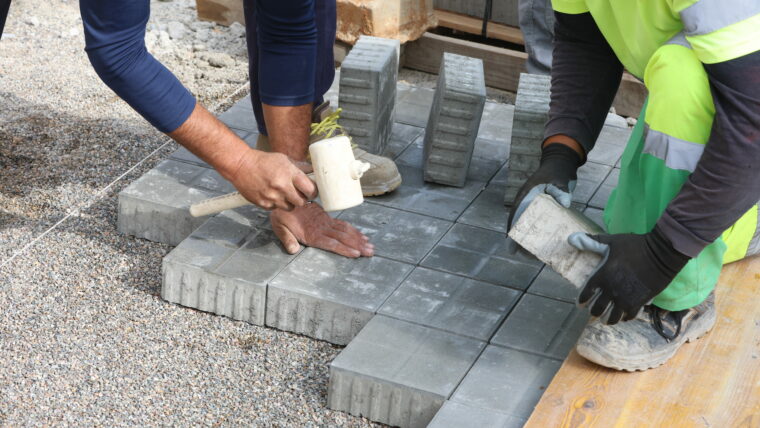 Nous panots al carrer dels Almogàvers