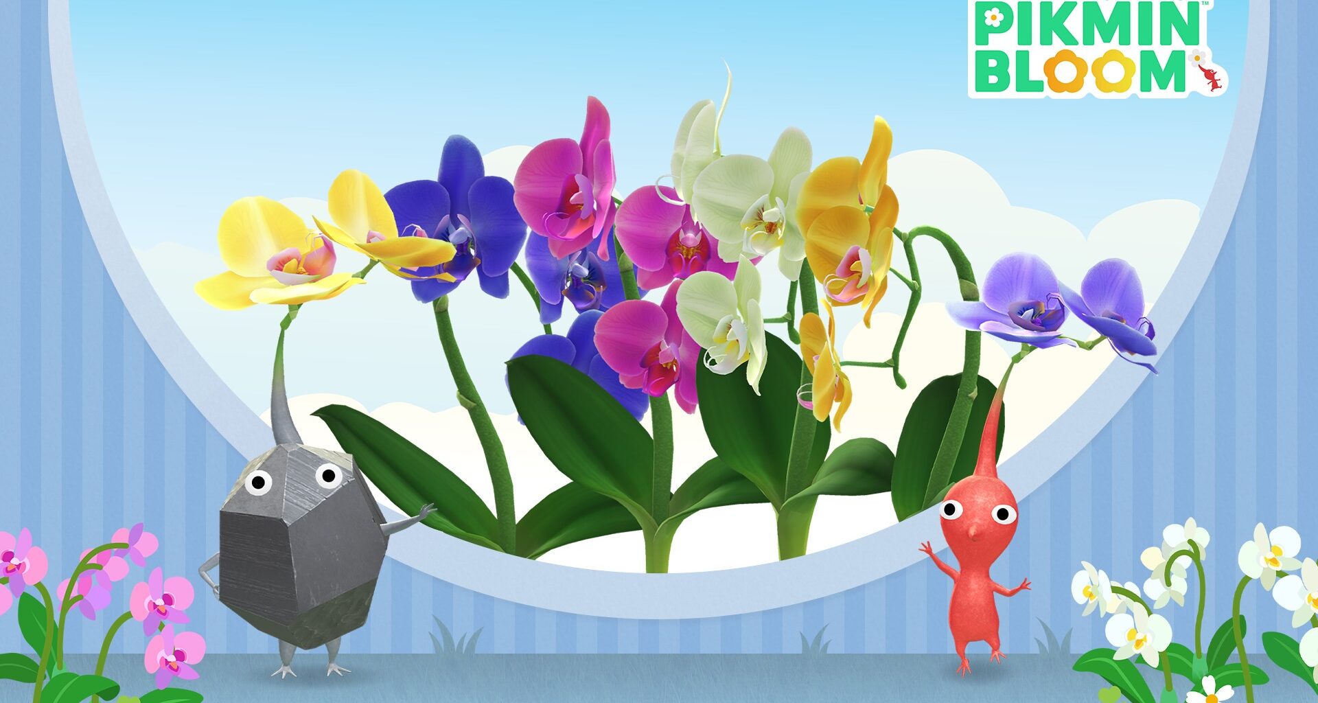 Pikmin Bloom desvela sus planes para enero de 2026, centrados en orquídeas mariposa