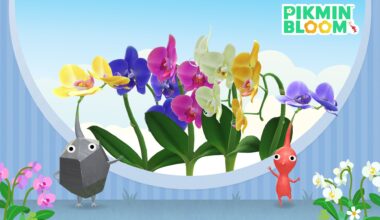 Pikmin Bloom desvela sus planes para enero de 2026, centrados en orquídeas mariposa