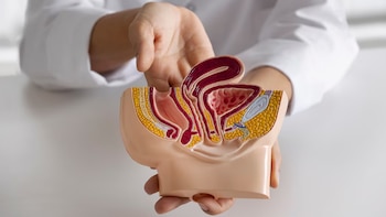 El cáncer testicular es el