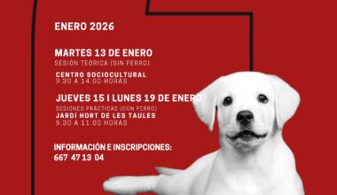 En enero, nuevo curso gratuito de Educación Canina
