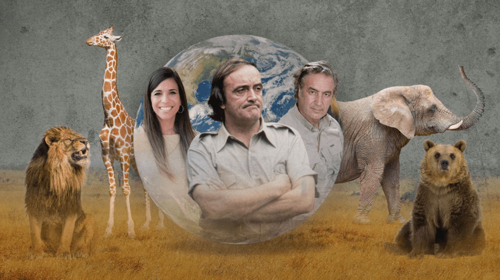 Imagen del canal RTVE Reino Animal