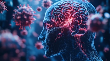 Una leve disminución en la