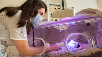 La investigación publicada en The