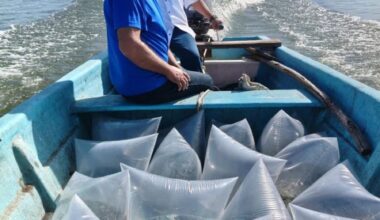 Gobierno del Estado de Tamaulipas