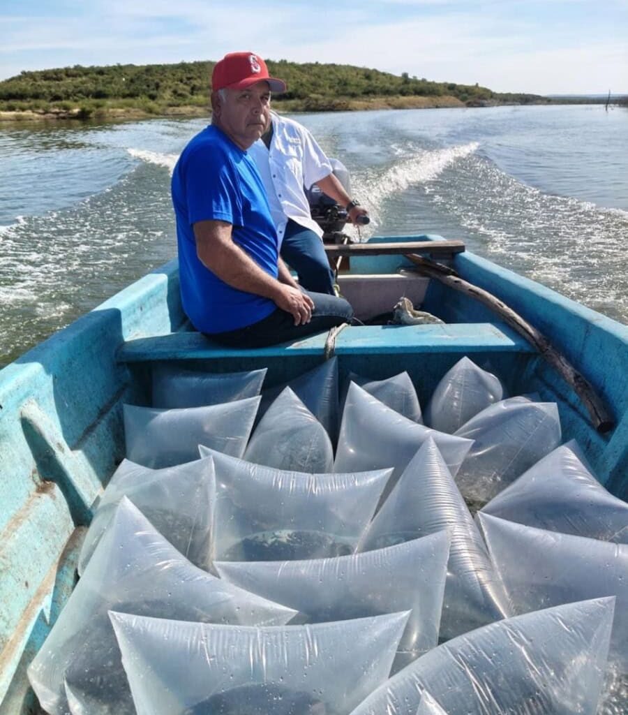 Gobierno del Estado de Tamaulipas