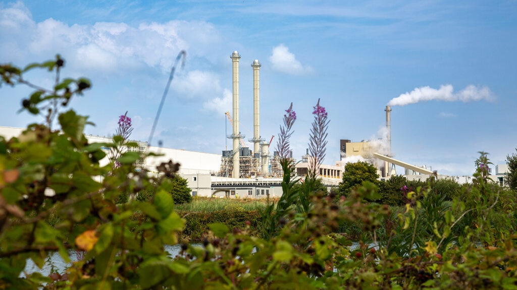 Cómo transformar una imprenta en un líder de la economía circular