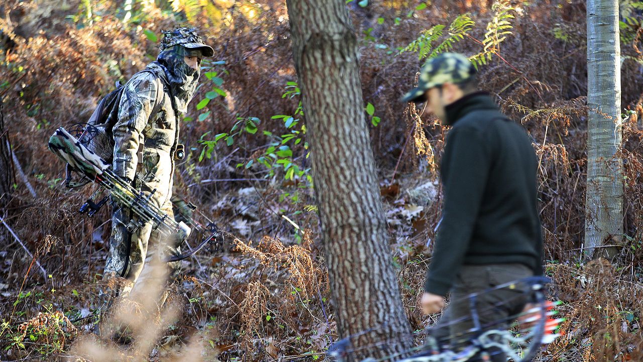 La Xunta estudia bonificar las tasas de los tecores que superen el cupo de capturas de jabalí para prevenir la llegada de la peste porcina a Galicia - La Voz de Galicia