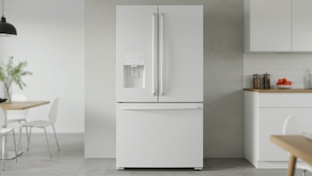 La industria automotriz y la