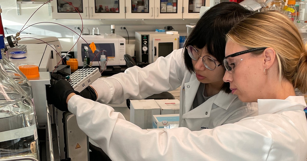 En qué consiste la biblioteca digital que revela los fármacos ocultos que hay en el cuerpo