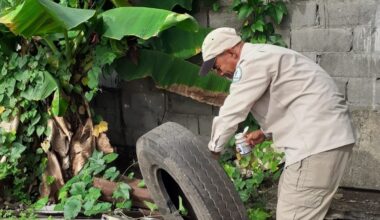 Dengue en Panamá: más de 15 mil casos y 25 defunciones en lo que va de 2025