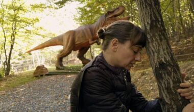 Elsa Fernández-Santos