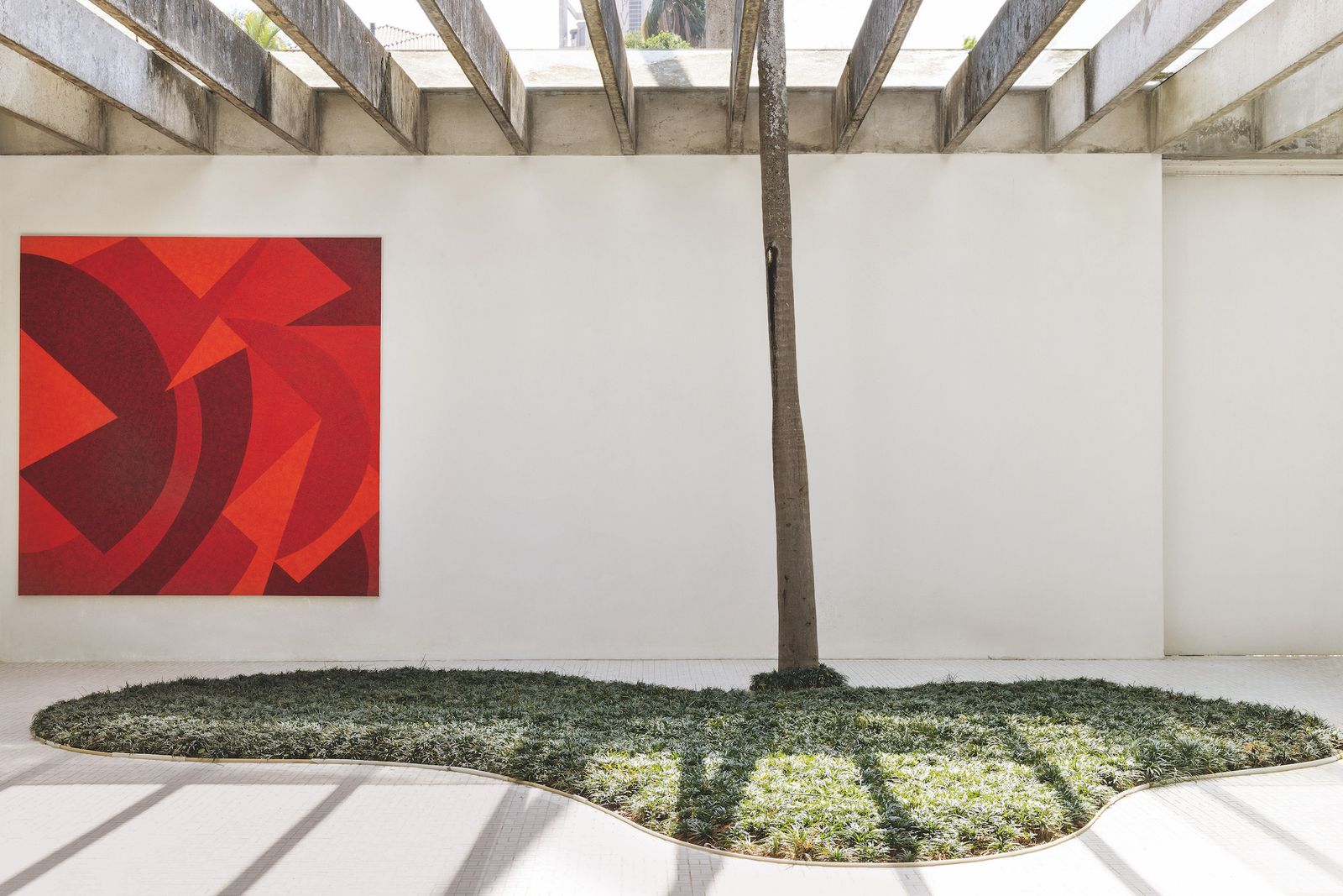 Patio con palmera y obra de arte en rojo