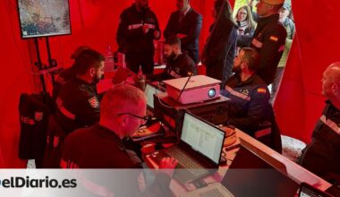 Recogidos 50 jabalíes muertos en la zona de Collserola (Barcelona) afectada por la peste porcina