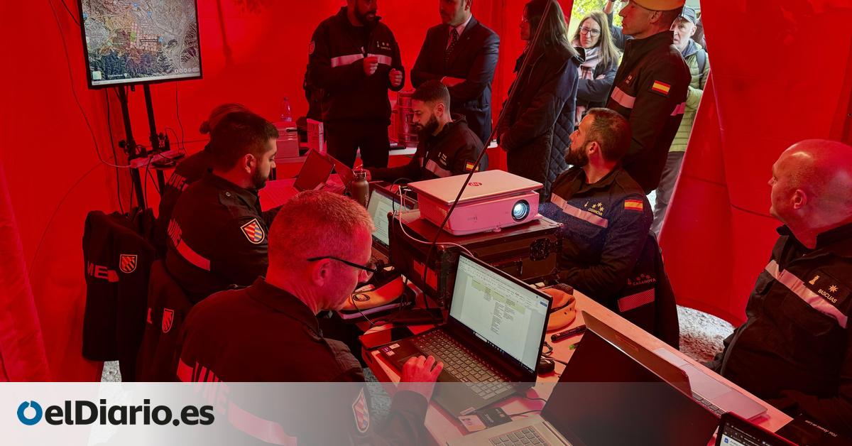 Recogidos 50 jabalíes muertos en la zona de Collserola (Barcelona) afectada por la peste porcina