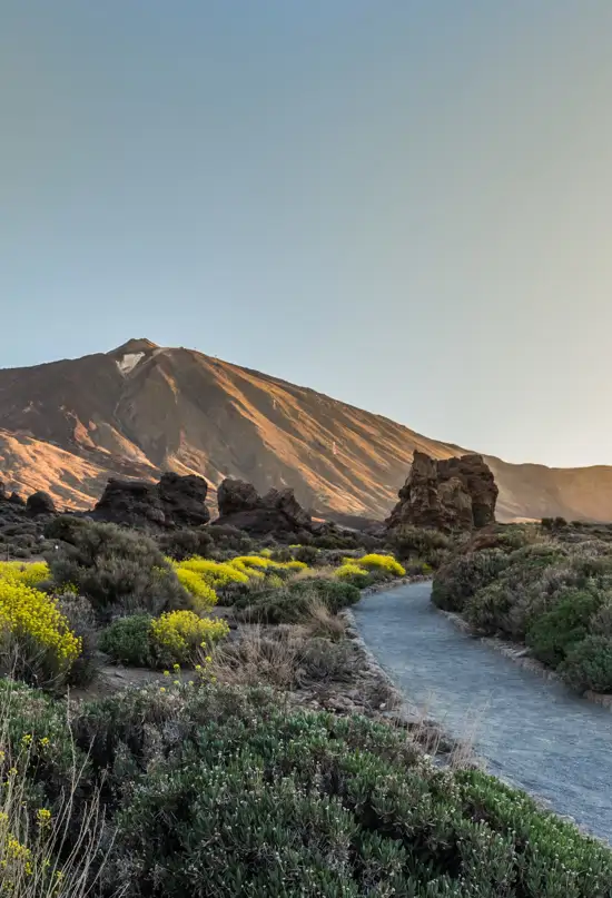 AdobeStock 213215016