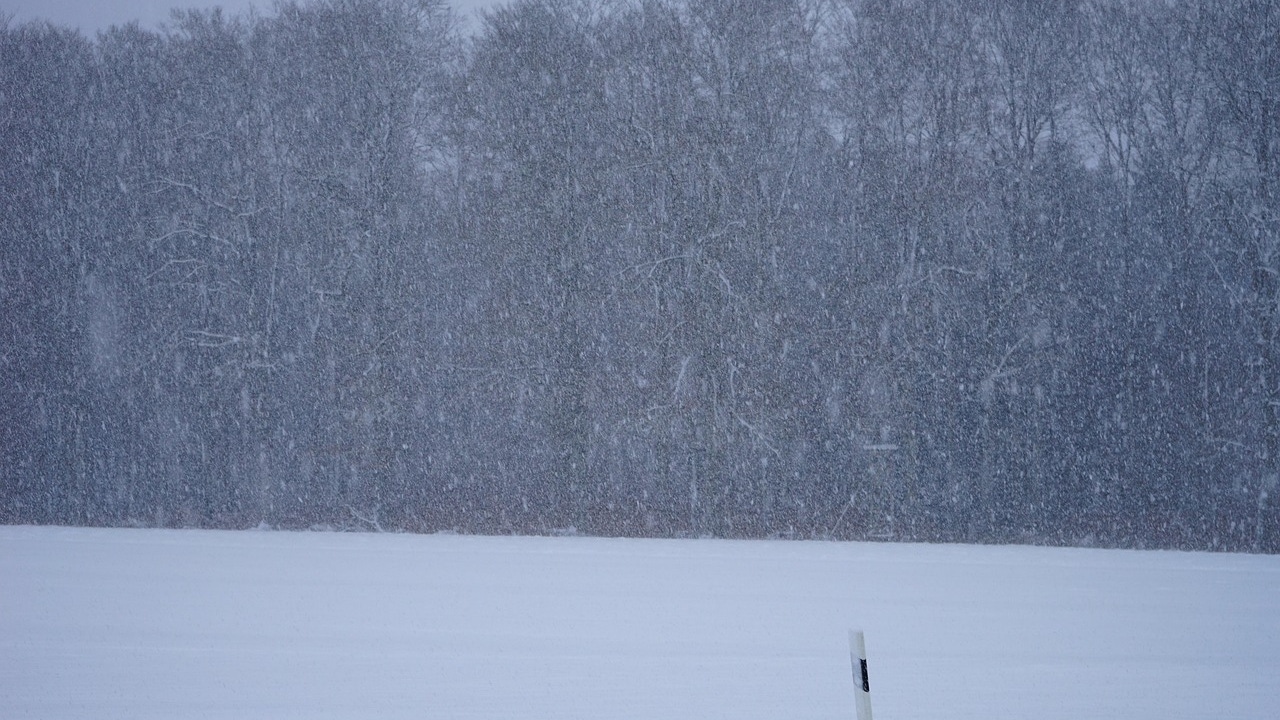 "Llega una nueva masa de aire frío polar"