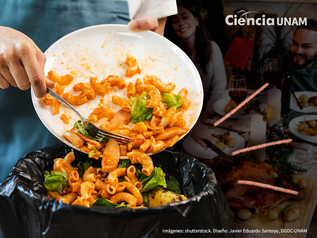 Banquete para el basurero. Desperdicio de alimentos en fiestas decembrinas
