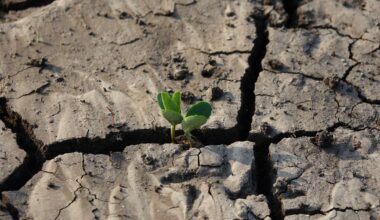 La OCDE alerta de los efectos del cambio climático en la salud: ¿se ha convertido en una emergencia sanitaria?