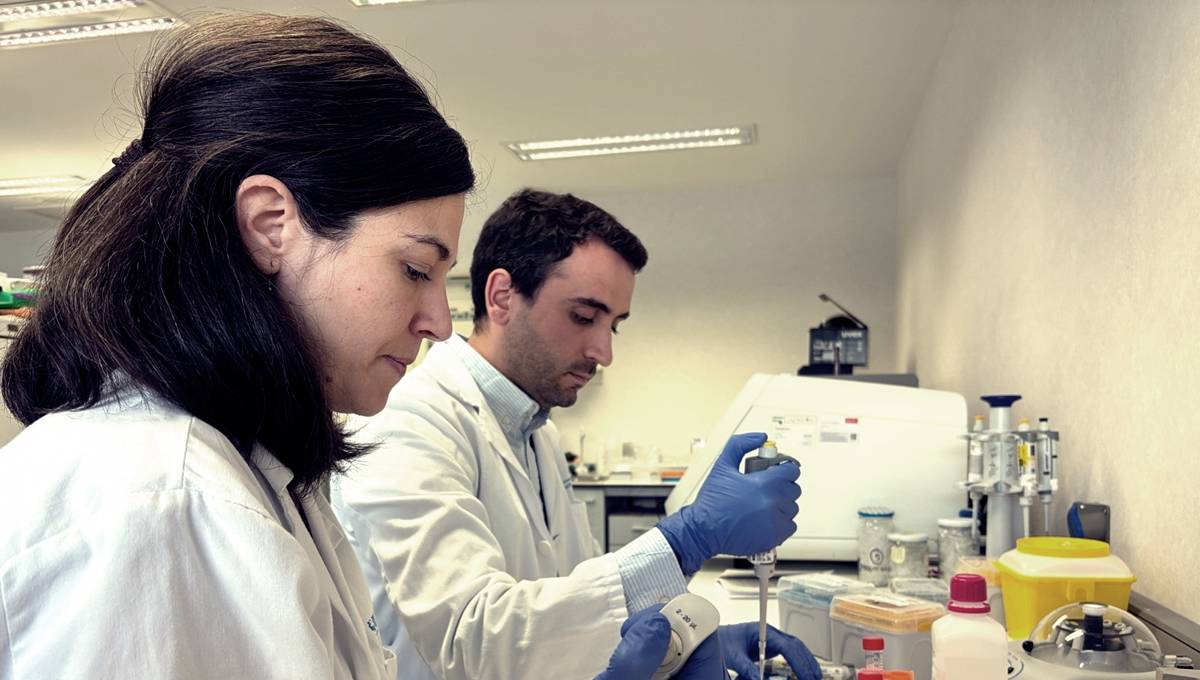 Demuestran que un compuesto de la microbiota potencia la terapia CAR-T frente al linfoma no Hodgkin