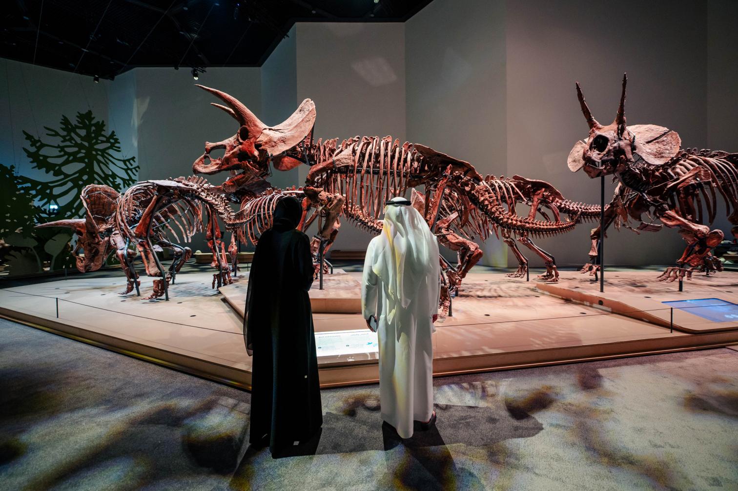 Museo de Historia Natural de Abu Dabi