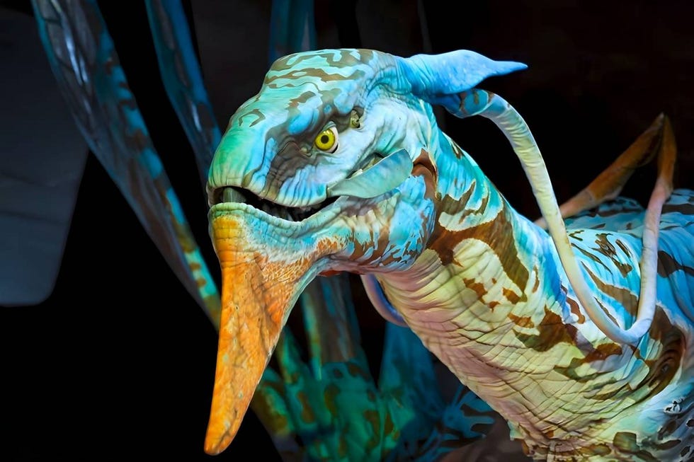 experiencia inmersiva de avatar