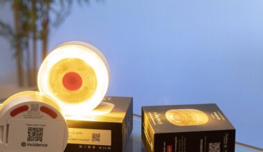 la DGT se defiende de la denuncia de Facua y culpa al Tribunal Supremo