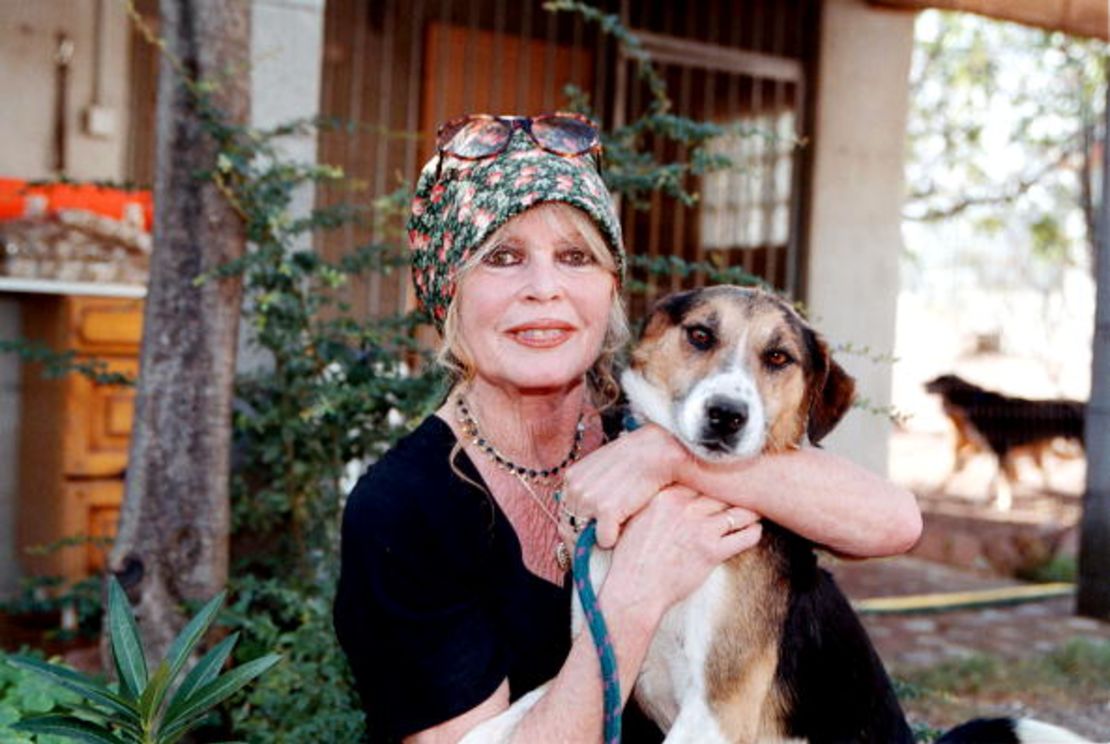 Brigitte Bardot visita su refugio canino 