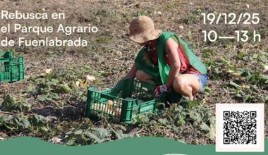 Fuenlabrada se suma al aprovechamiento alimentario 16-12-2025
