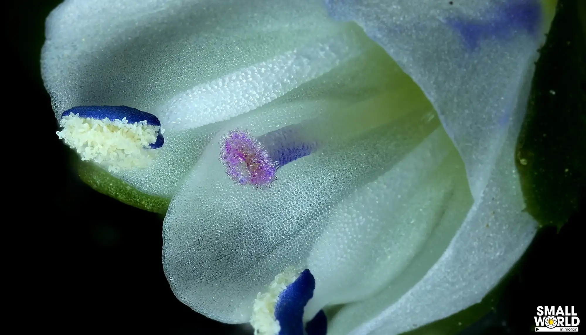 Captura de pantalla 2025 12 04 163416