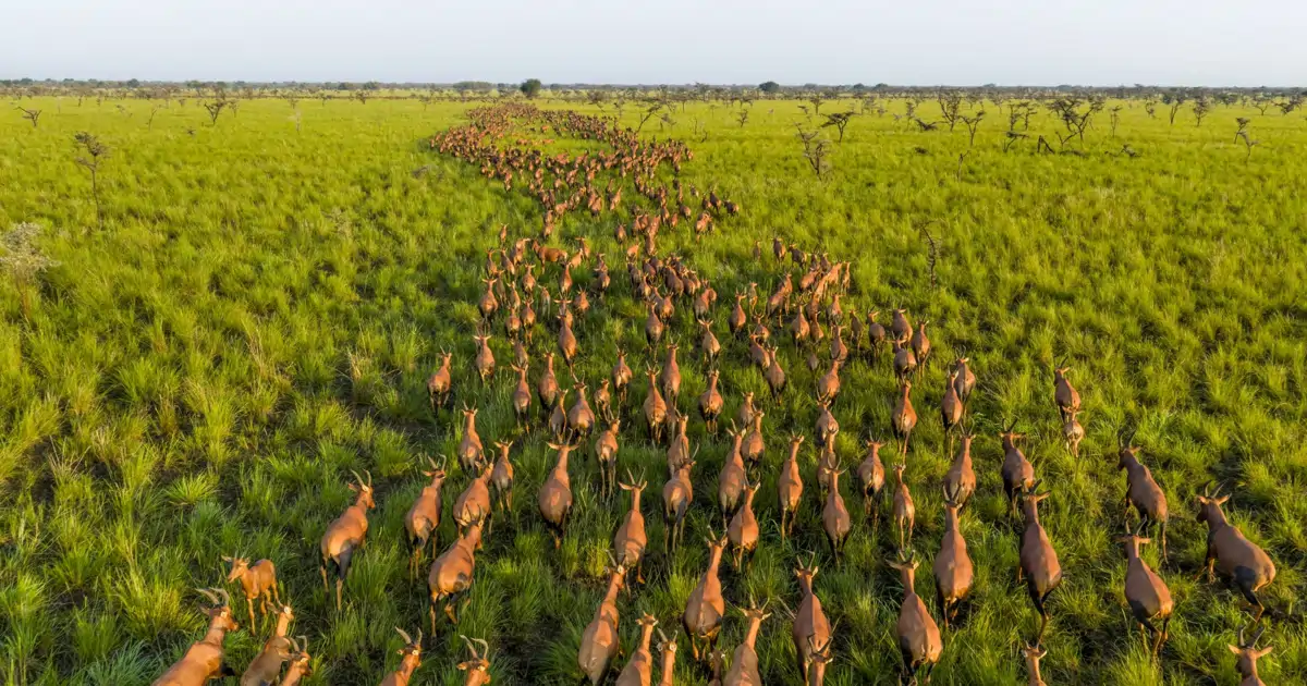 Las mejores fotos de vida salvaje de 2025