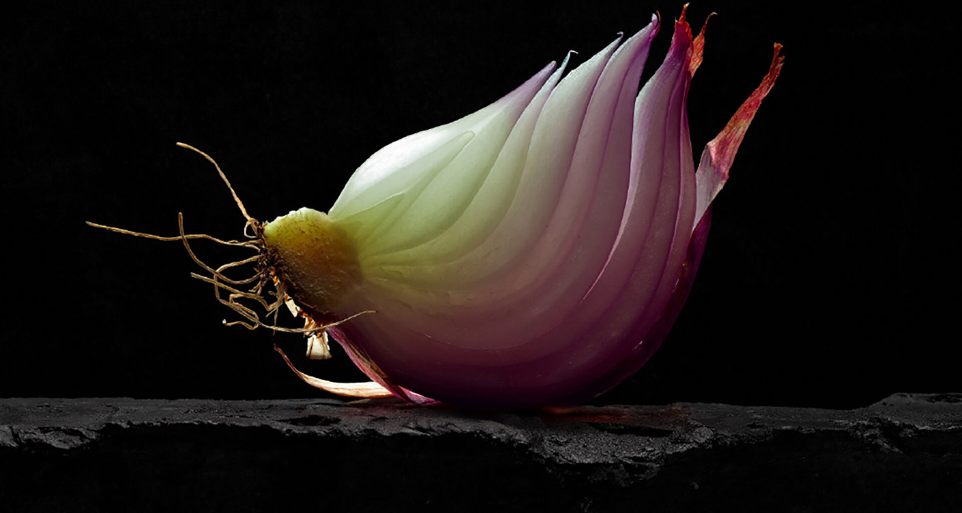 Los LUX 2025 premian un año más la mejor fotografía profesional de España