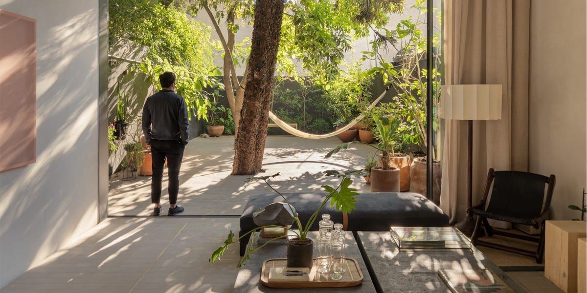 Esta casa de 6 metros de ancho tiene un precioso patio interior ajardinado