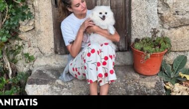 una moderna cocina, una jirafa en la escalera y llena de recuerdos