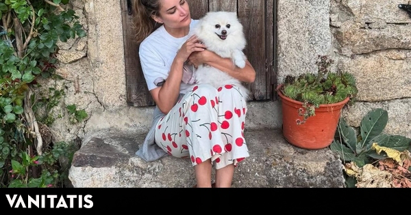 una moderna cocina, una jirafa en la escalera y llena de recuerdos