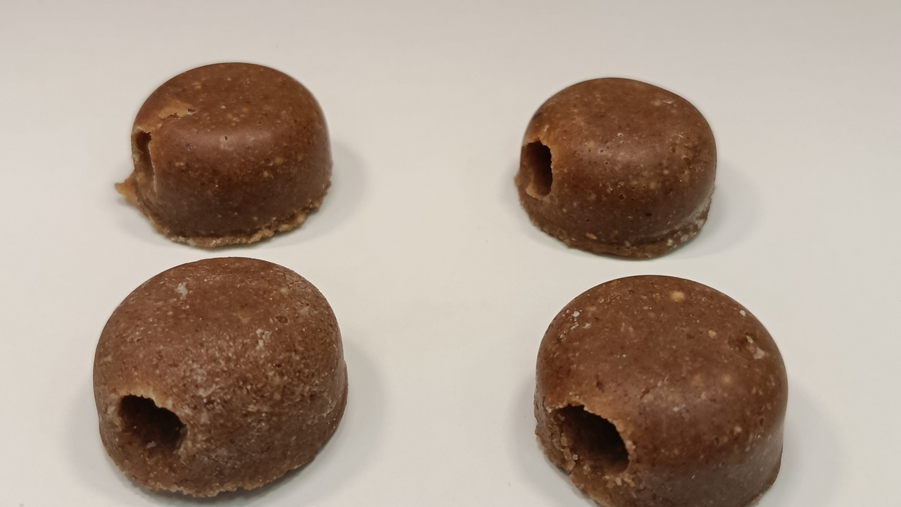 cerdos y jabalíes requieren dos formas distintas de inocular la futura vacuna