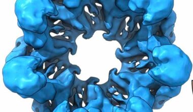 ayudarán a descifrar el origen de la vida