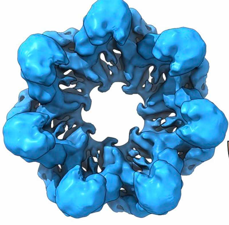 ayudarán a descifrar el origen de la vida