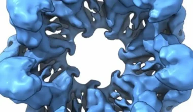 Resucitan proteínas de hace 4.000 millones de años y revelan el secreto de la vida primitiva