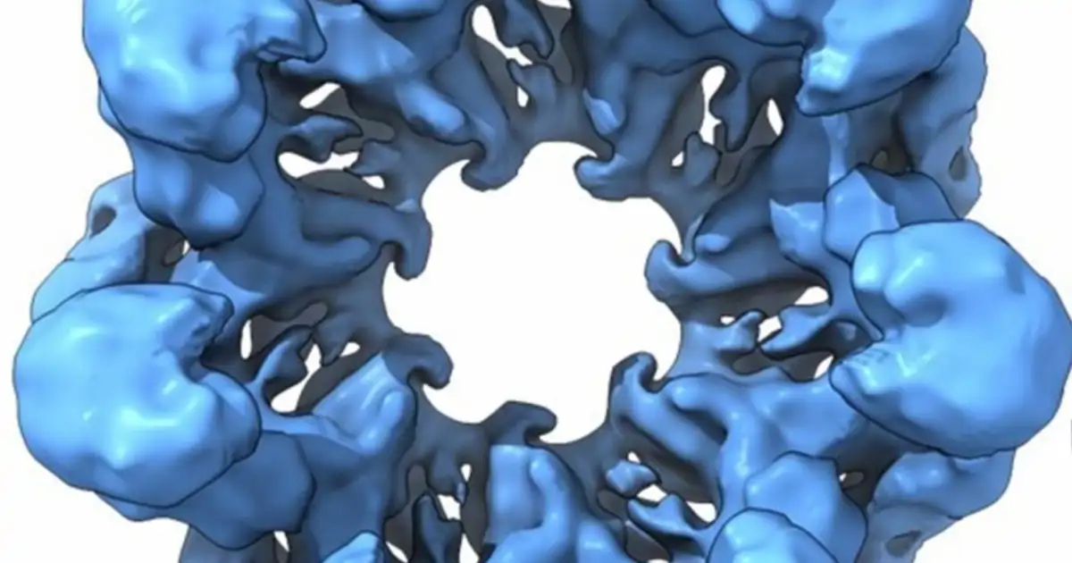 Resucitan proteínas de hace 4.000 millones de años y revelan el secreto de la vida primitiva