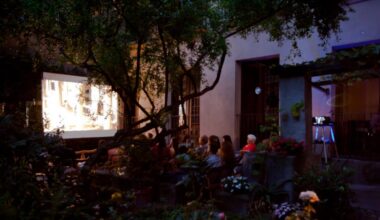 Cine de verano Lope de Vega